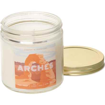 Purveyors of Fragrance 12.5 oz. Arches Pine Candle in Pine Scent