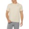 Quiksilver Alert T-Shirt - Short Sleeve in Oyster White