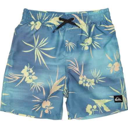 Quiksilver Big Boys Everyday Retro Fade Volley Boardshorts in Aqua Sky