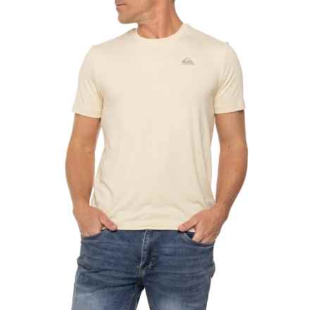 Quiksilver Brick T-Shirt - Short Sleeve in Oyster White
