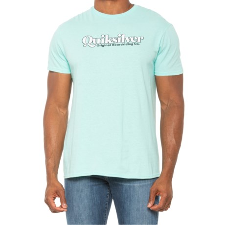 Quiksilver Instant History T-Shirt - Short Sleeve in Celadon