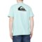 Quiksilver The Box T-Shirt - Short Sleeve in Celadon