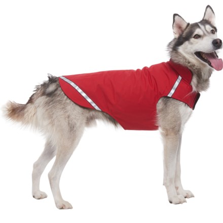 rc pet products raincoat