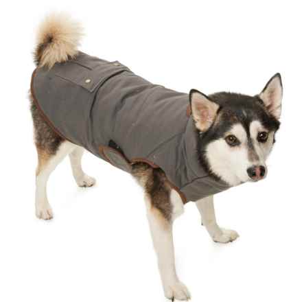 Redmond Clothing Outfitters Reversible Funnel Neck Dog Jacket in Charcoal