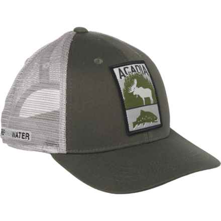 RepYourWater Wild Places Acadia Trucker Hat in Green/Light Gray