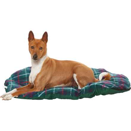 Ruffin' It Travel Dog Bed with Bag in Green