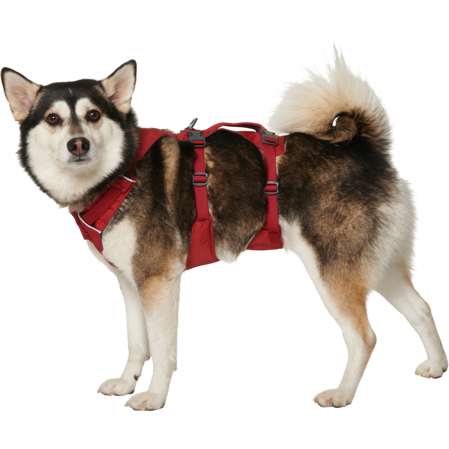 Ruffwear Flagline Dog Harness Save 63
