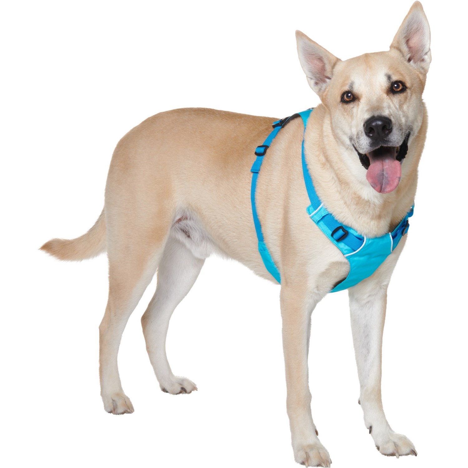 Ruffwear Hi & Light Dog Harness - Save 48%