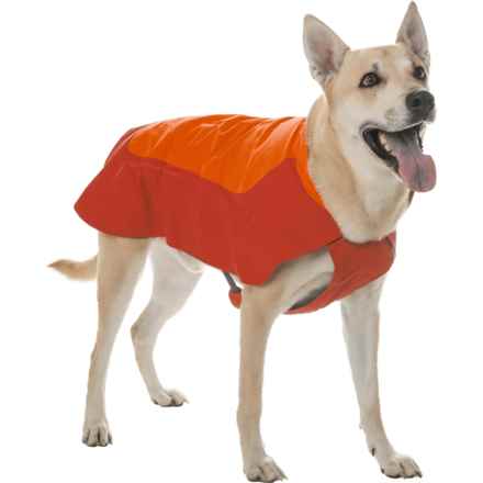 Ruffwear Vert Dog Jacket - Waterproof in Red