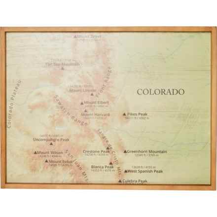 Rustic Marlin 24x48” Colorado Map Framed Wooden Print in Multi