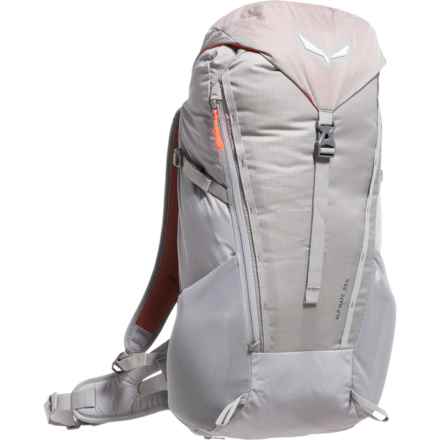 Salewa Alp Mate 24 L Backpack - Alloy in Alloy