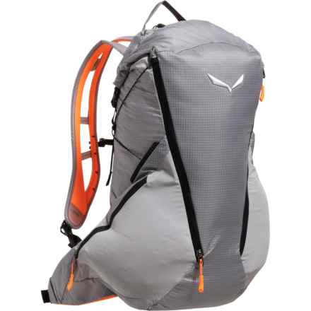 Salewa Pedroc Pro 22 L Backpack - Alloy in Alloy