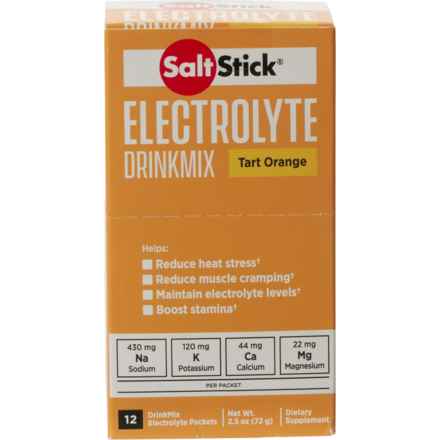 SALT STICK Electrolyte Drink Mix - 12-Count in Multi