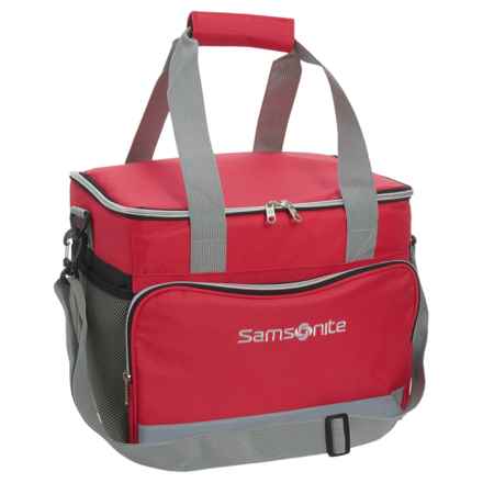 samsonite lunch bag