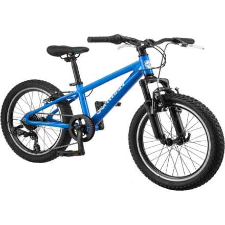 Schwinn High Timber Mountain Bike - 20” (For Boys) in Blue