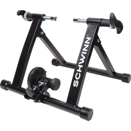 Schwinn hotsell mag trainer