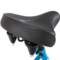 8TRRX_2 Schwinn Mikko 1-Speed Cruiser Bike - 26" (For Women)