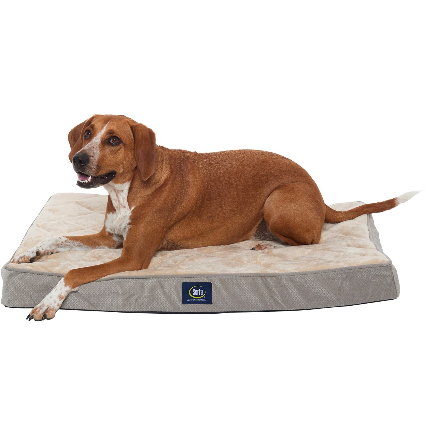 Serta Gray Quilted Pillow Top Dog Bed 36x27 Save 20