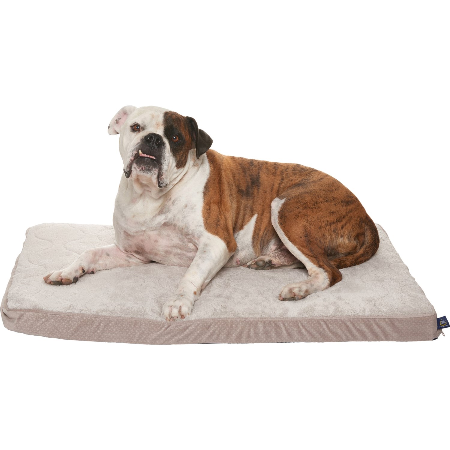 serta dog crate mat