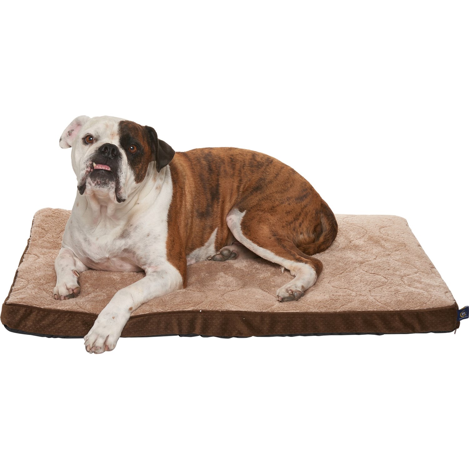 serta dog crate mat