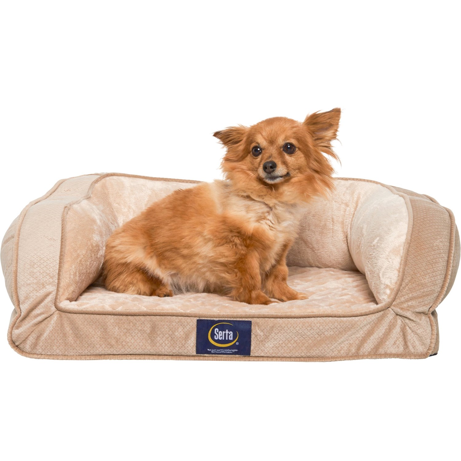 mini couch dog bed
