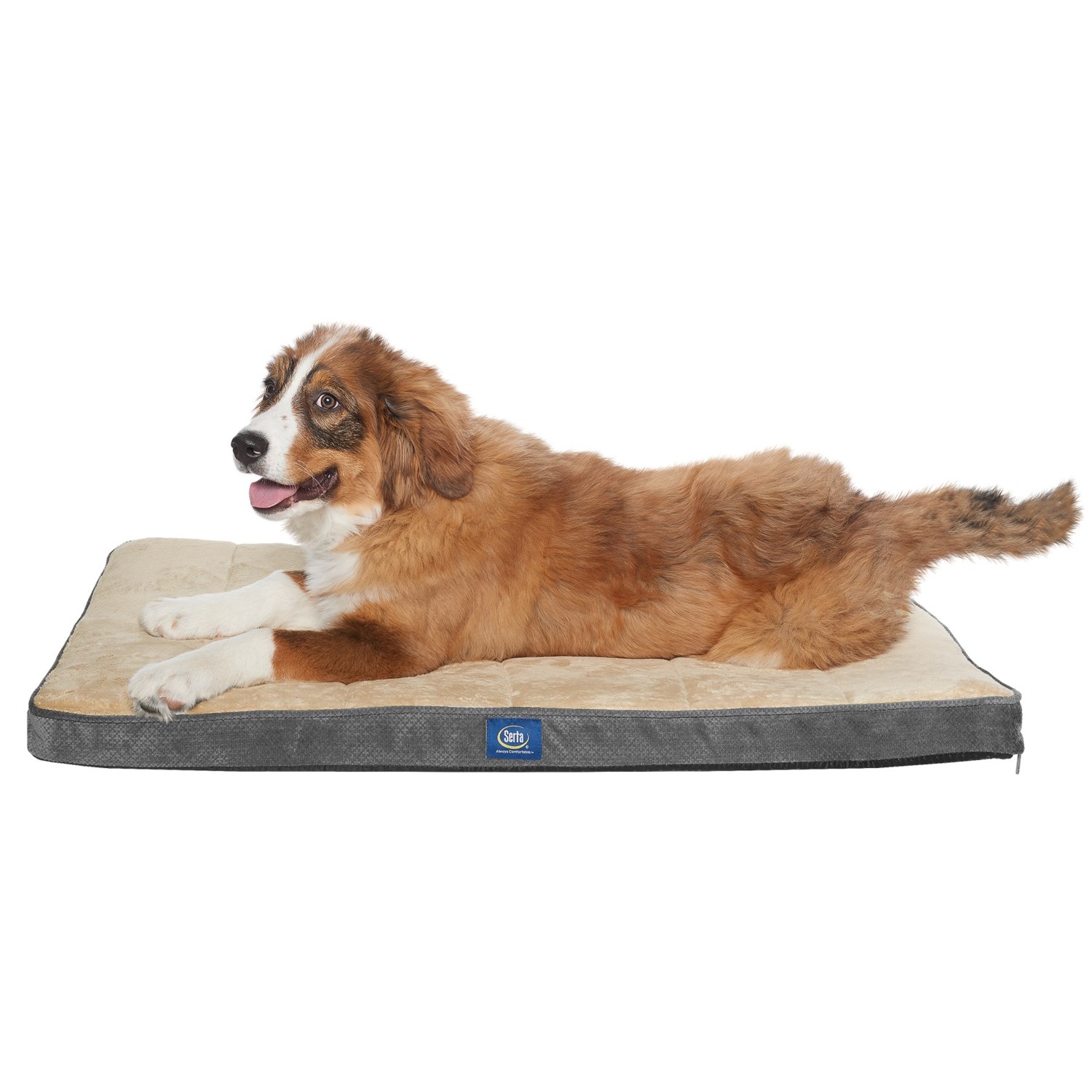 Serta Orthopedic Foam Crate Mat Large, 23x36” Save 25