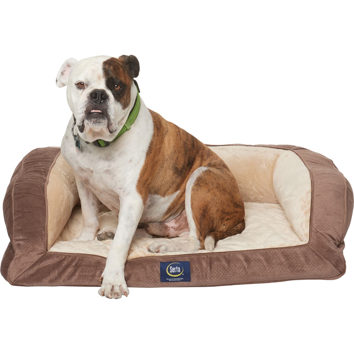 serta couch dog bed