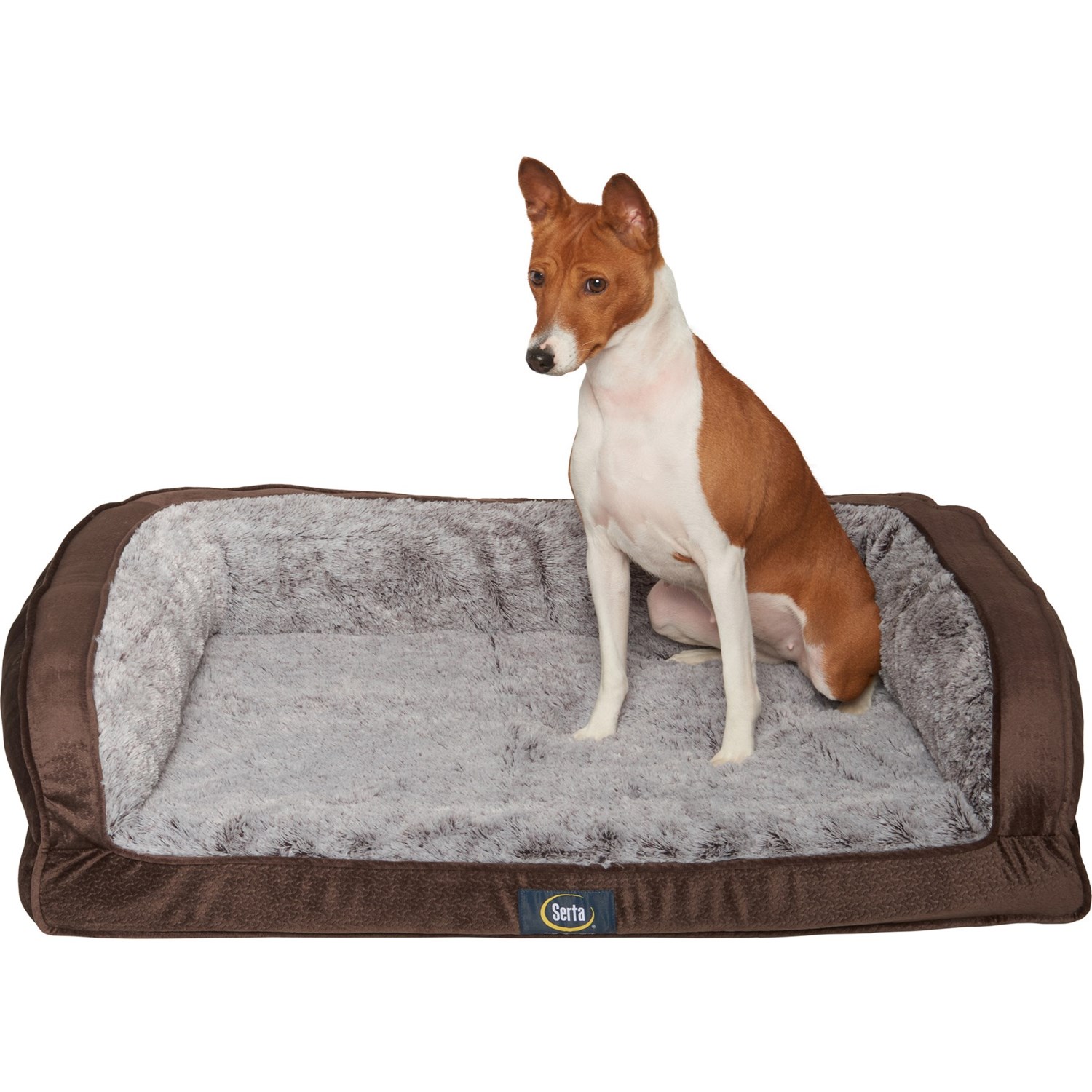 serta quilted pillow top dog bed