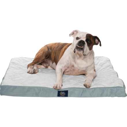 serta quilted pillow top dog bed