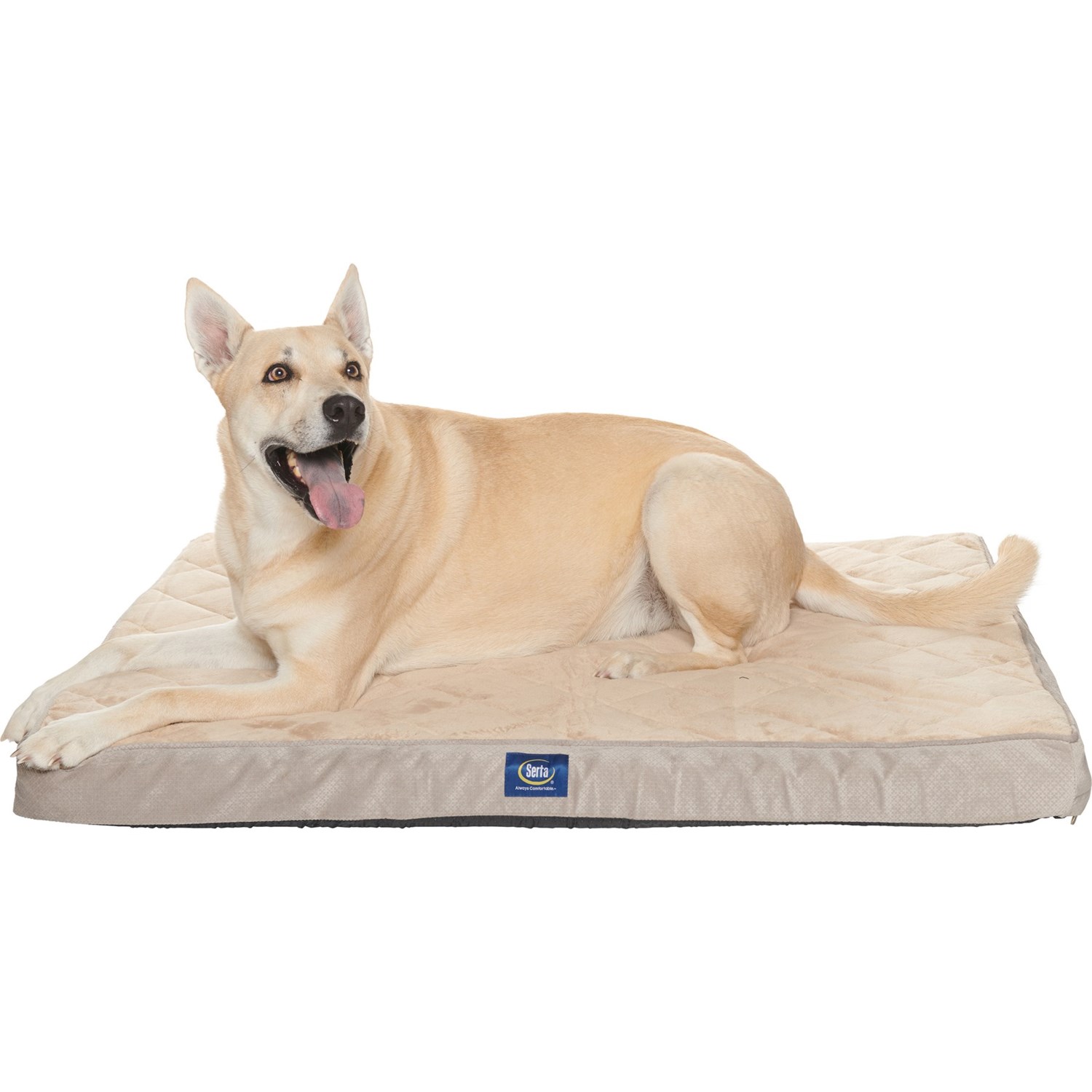 serta quilted pillow top dog bed