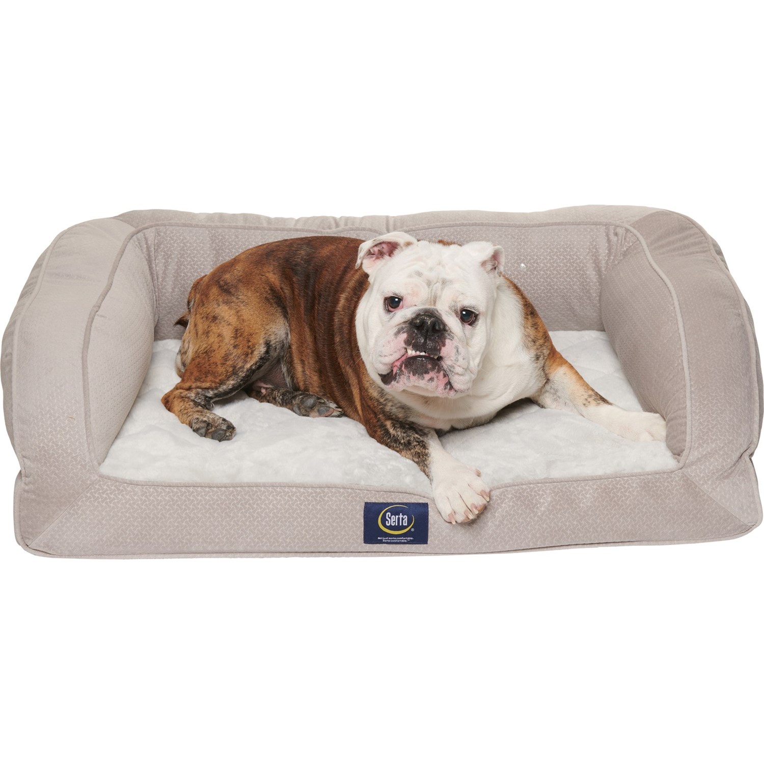 serta quilted pillow top dog bed