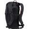 3MVWG_2 Sherpani Switch 15 L Backpack - Raven