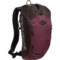 Sherpani Switch 15 L Backpack - Rosewood (For Women) in Rosewood