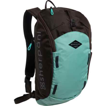 Sherpani Switch 15 L Backpack - Seagreen in Seagreen