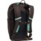 3MVWF_2 Sherpani Switch 15 L Backpack - Seagreen