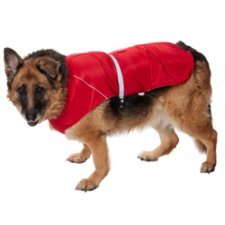 Silver Paw Cape Dog Rain Coat in Red