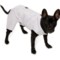 Silver Paw Detachable Pants Dog Snowsuit - Insulated in Grey