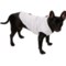 4XNXU_2 Silver Paw Detachable Pants Dog Snowsuit - Insulated