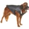 Silver Paw Easy Fit Dog Jacket with Sherpa Collar in Charcoal