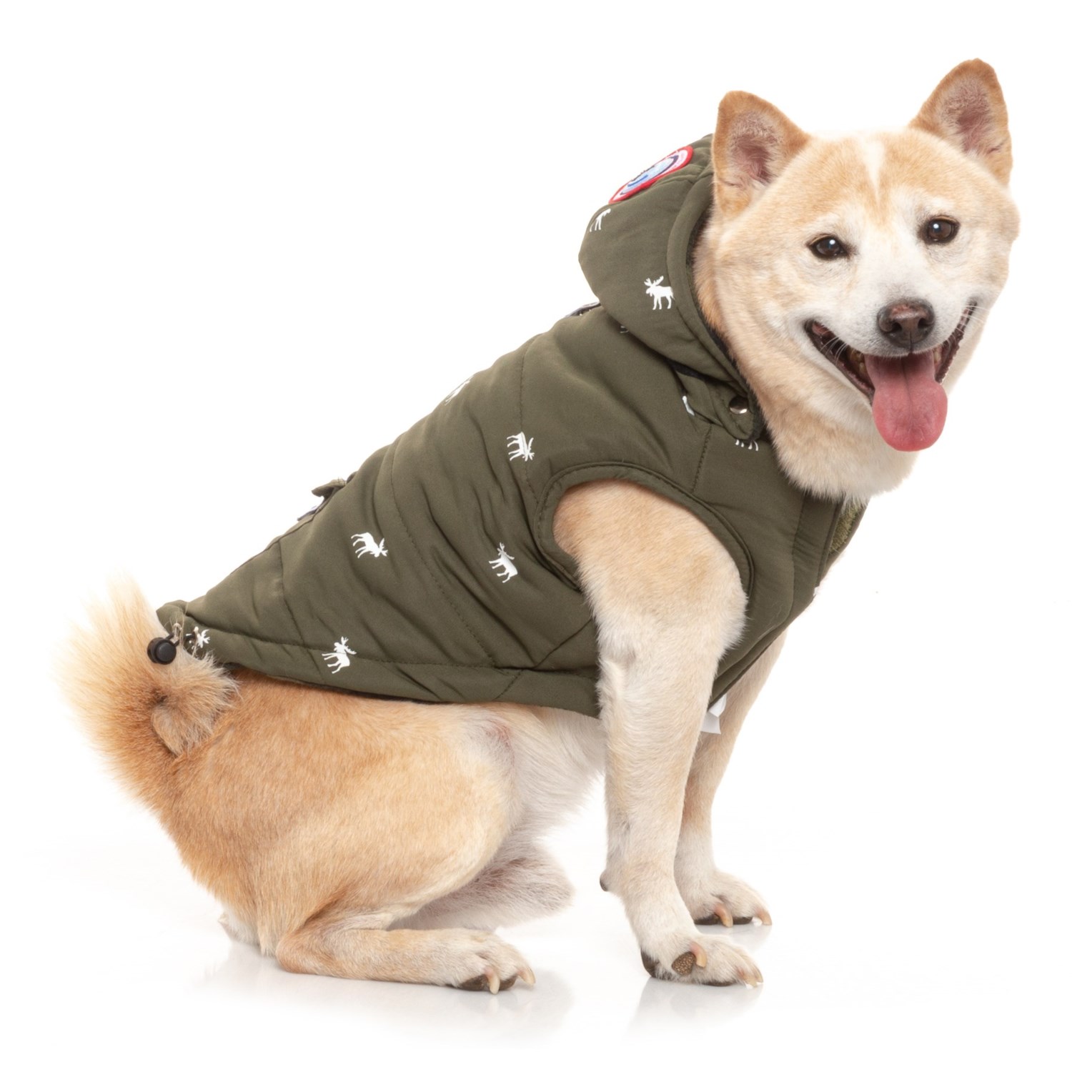 puffy dog jacket