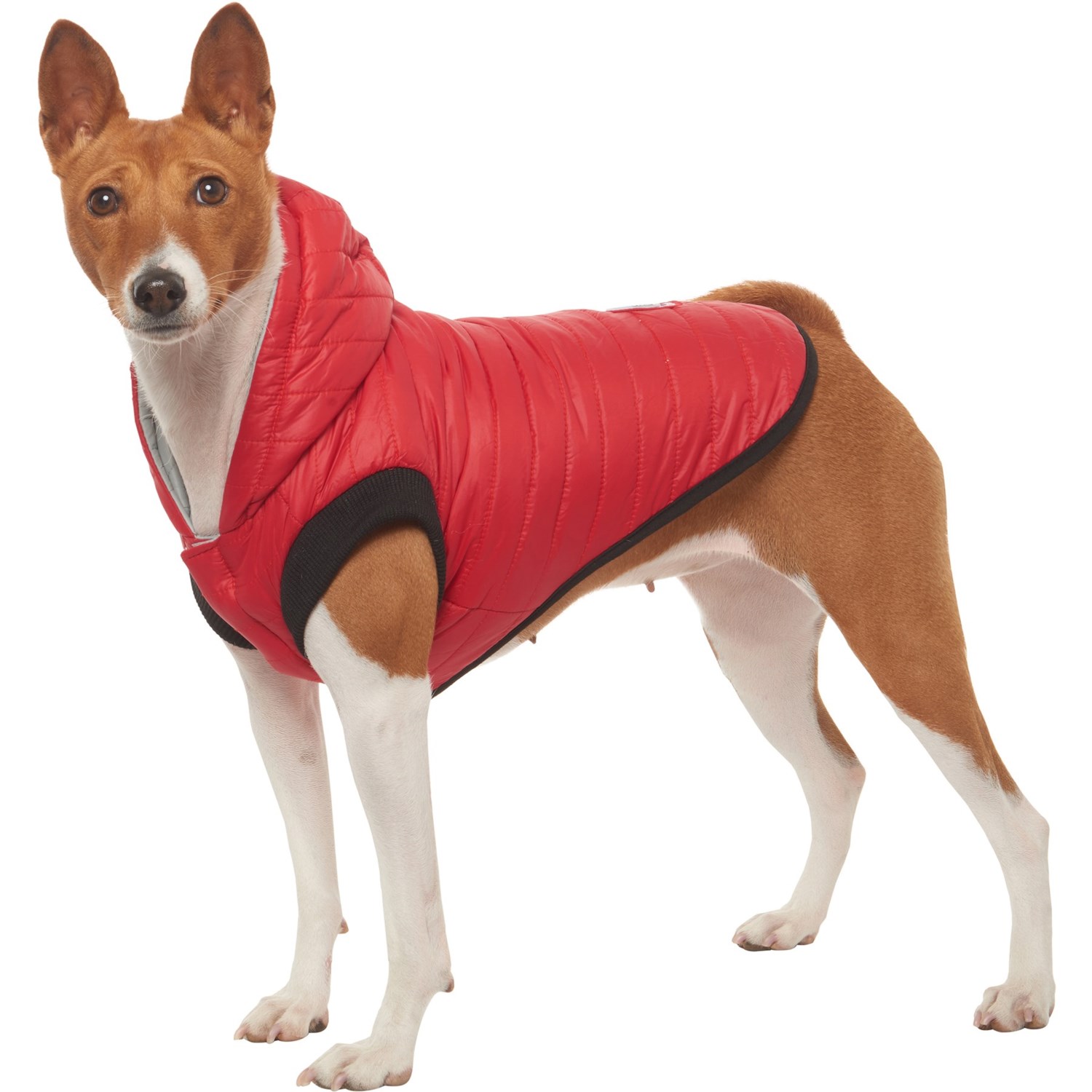 silverpaw dog coat