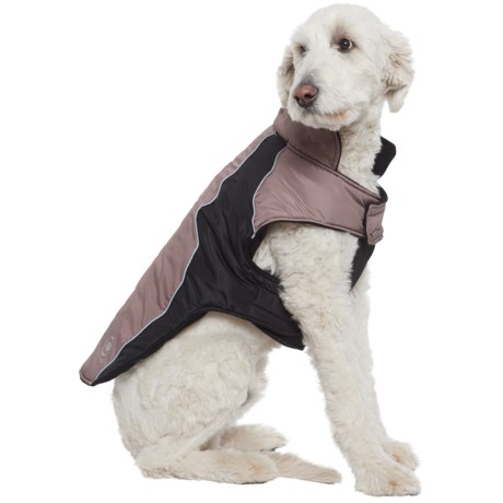 silverpaw dog coat