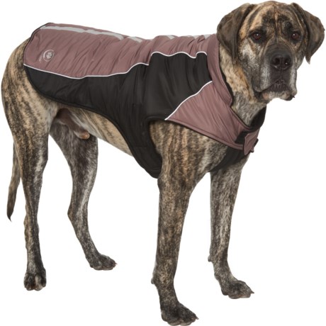 silverpaw dog coat