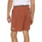 4DYNW_2 SmartWool Active Lined Shorts - 8”