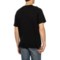 4FCAR_2 SmartWool Active Ultralite Graphic T-Shirt - Merino Wool, Short Sleeve