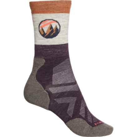 SmartWool Athlete Edition Approach Socks - Merino Wool, Crew (For Women) in Bordeaux