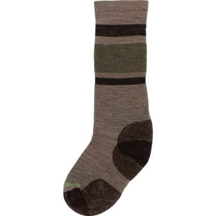 SmartWool Boys and Girls Wintersport Stripe Full Cushion Ski Socks - Merino Wool, Over the Calf in Fossil