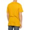 4DUPT_2 SmartWool Casual T-Shirt - Merino Wool, Short Sleeve