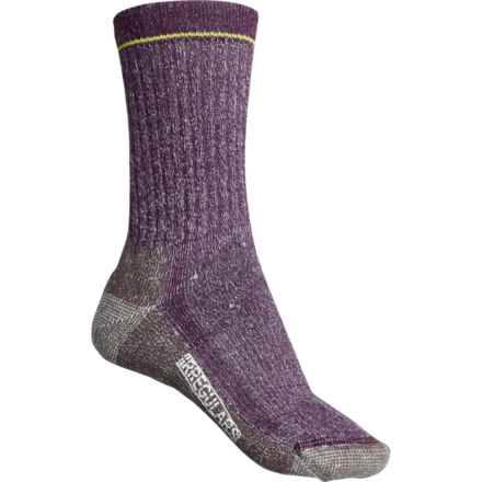 SmartWool Hike Classic Edition Full Cushion Hiking Socks - Merino Wool, Crew (For Women) in Purple Iris