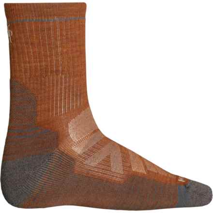 SmartWool Light Cushion Hiking Socks - Merino Wool, Crew (For Men and Women) in Acorn